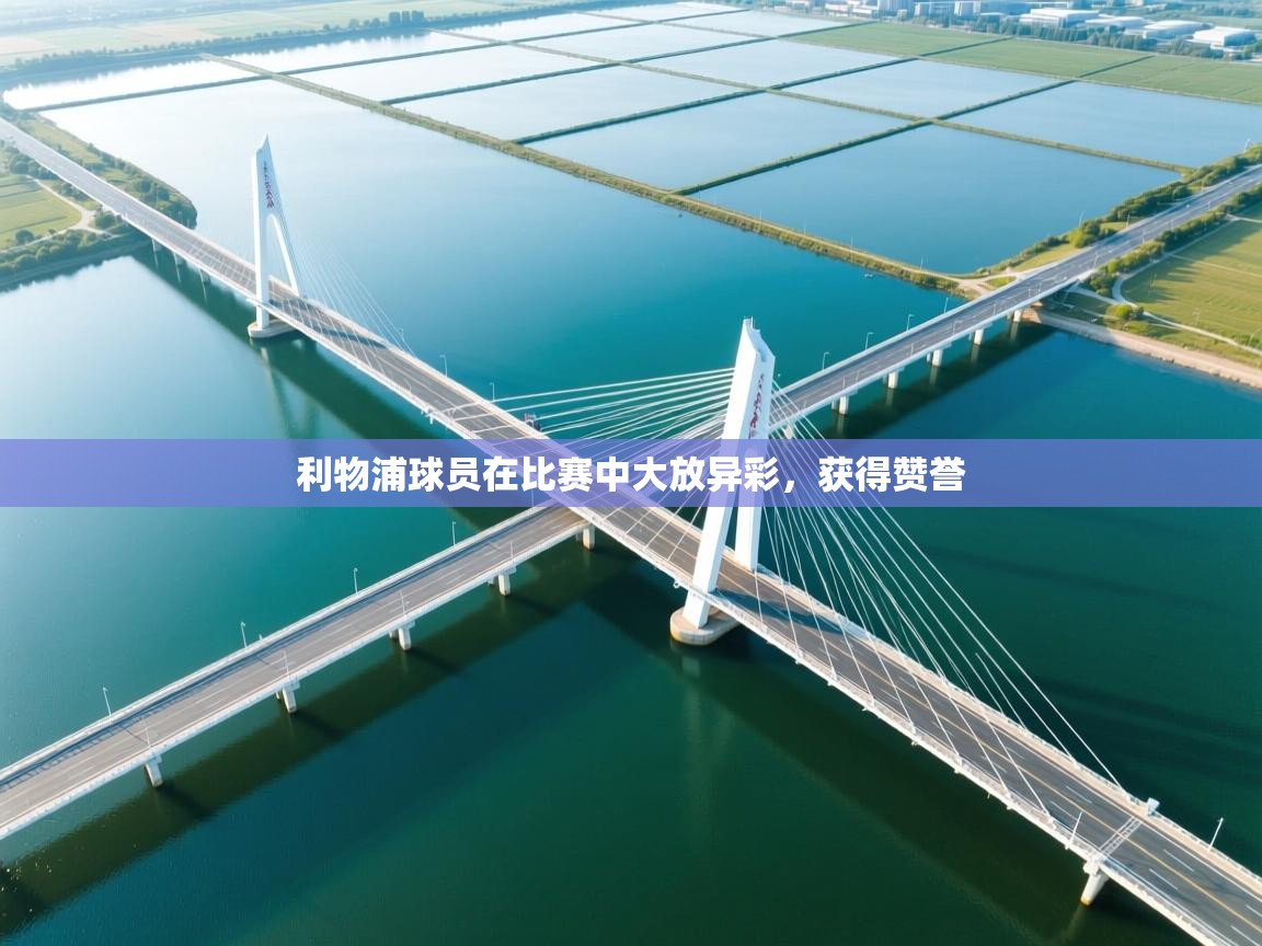 利物浦球员在比赛中大放异彩，获得赞誉  第2张